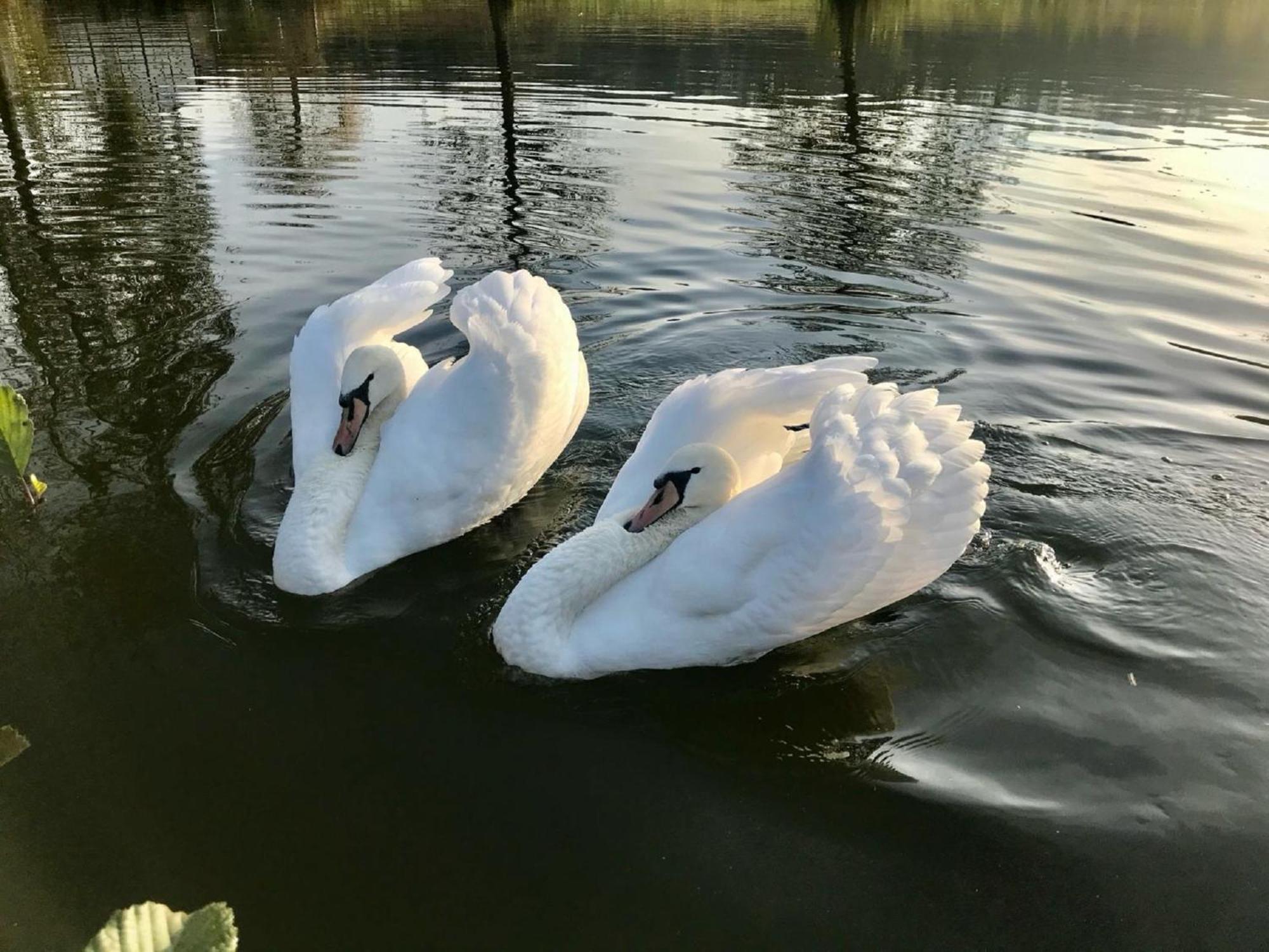Ferienwohnungen Goja Bad Konigshofen Bagian luar foto