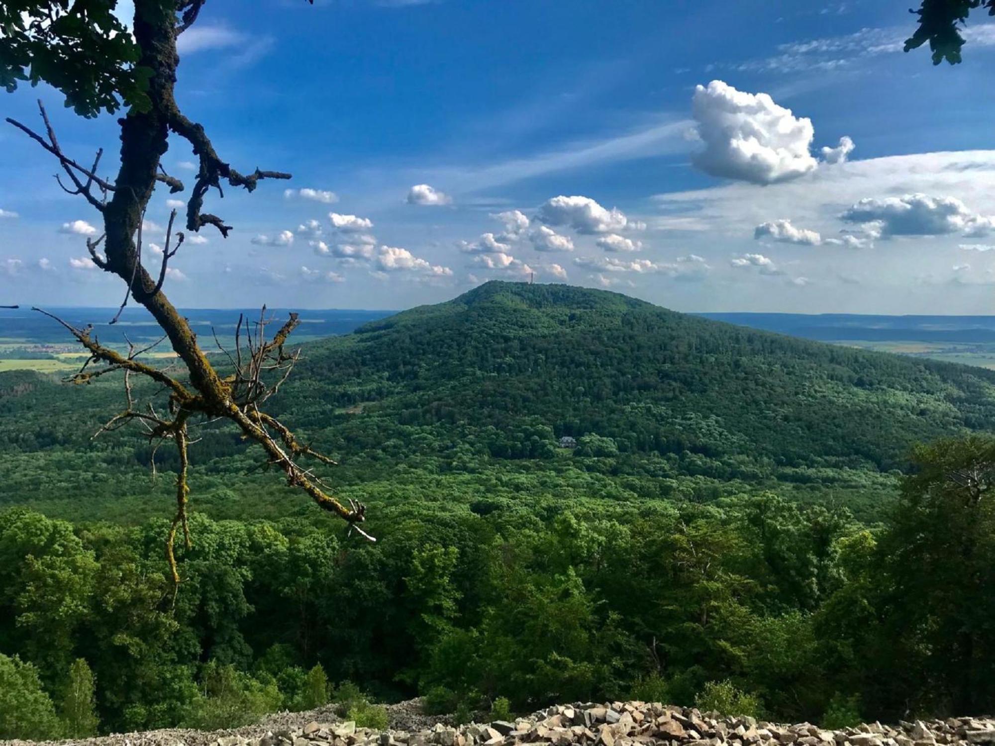 Ferienwohnungen Goja Bad Konigshofen Bagian luar foto